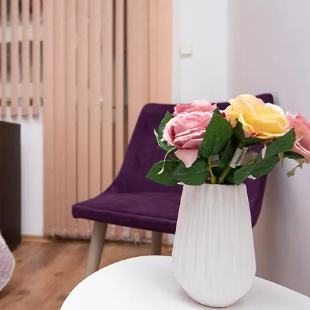 Four Guests Close To Center And Medical University Appartamento